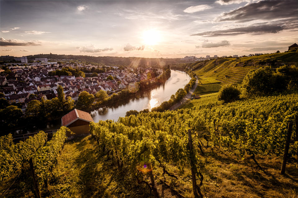 Zwar ist der Neckar in Stuttgart schön anzusehen, allerdings ist er mit Krankheitserregern belastet. (Bild: Getty Images)