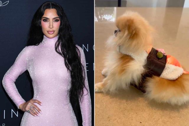 Kim Kardashian Dresses Her Dogs Sushi and Saké as Actual Sushi for  Halloween: They're 'So Unbothered