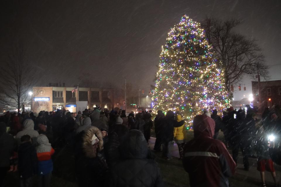 Dozens of people watch in the snow as the Community Christmas Tree is lighted Monday at the old Lenawee County Courthouse in Adrian.