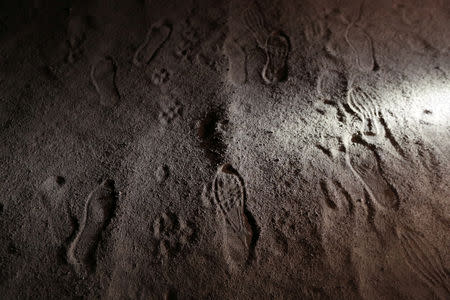 Migrants' footprints are inspected during a police patrol at a restricted mined area of desert, at the Chilean and Peruvian border in Arica, Chile, November 16, 2018. REUTERS/Ivan Alvarado