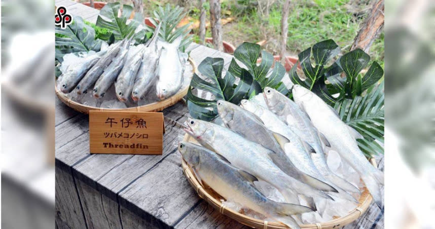 中國大陸宣布即日起暫停部分食品及漁船等食品銷陸。（圖／執系資料照）