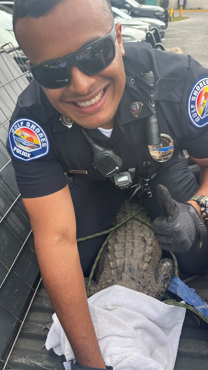 officer with alligator
