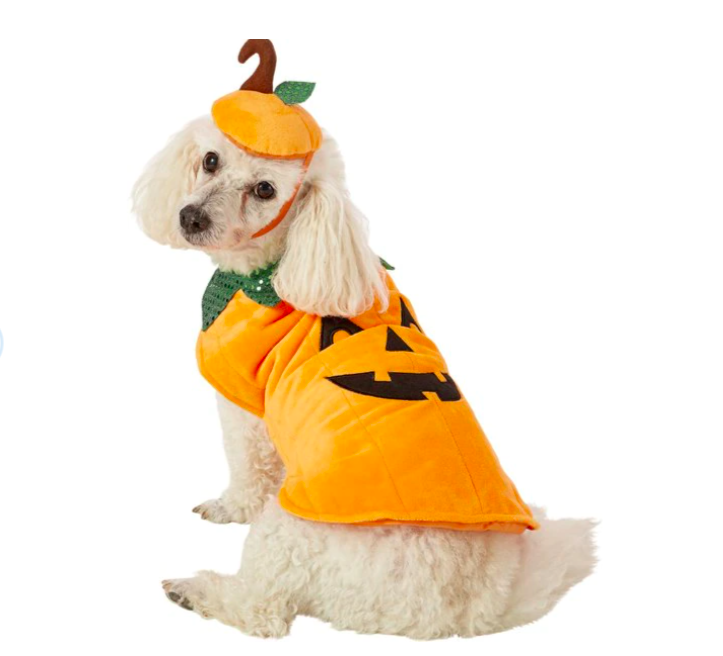 Pumpkin Dog Costume