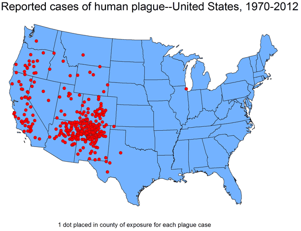 How Worried Should We Be About Squirrels Carrying the Bubonic Plague?