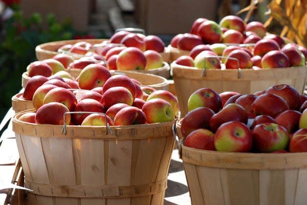 Apple Annie includes 90 acres of forests, wetlands, gardens and orchards along the Exeter River that have 270 apple trees.