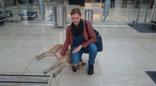 Flight attendant adopts stray dog that always waited outside her hotel 