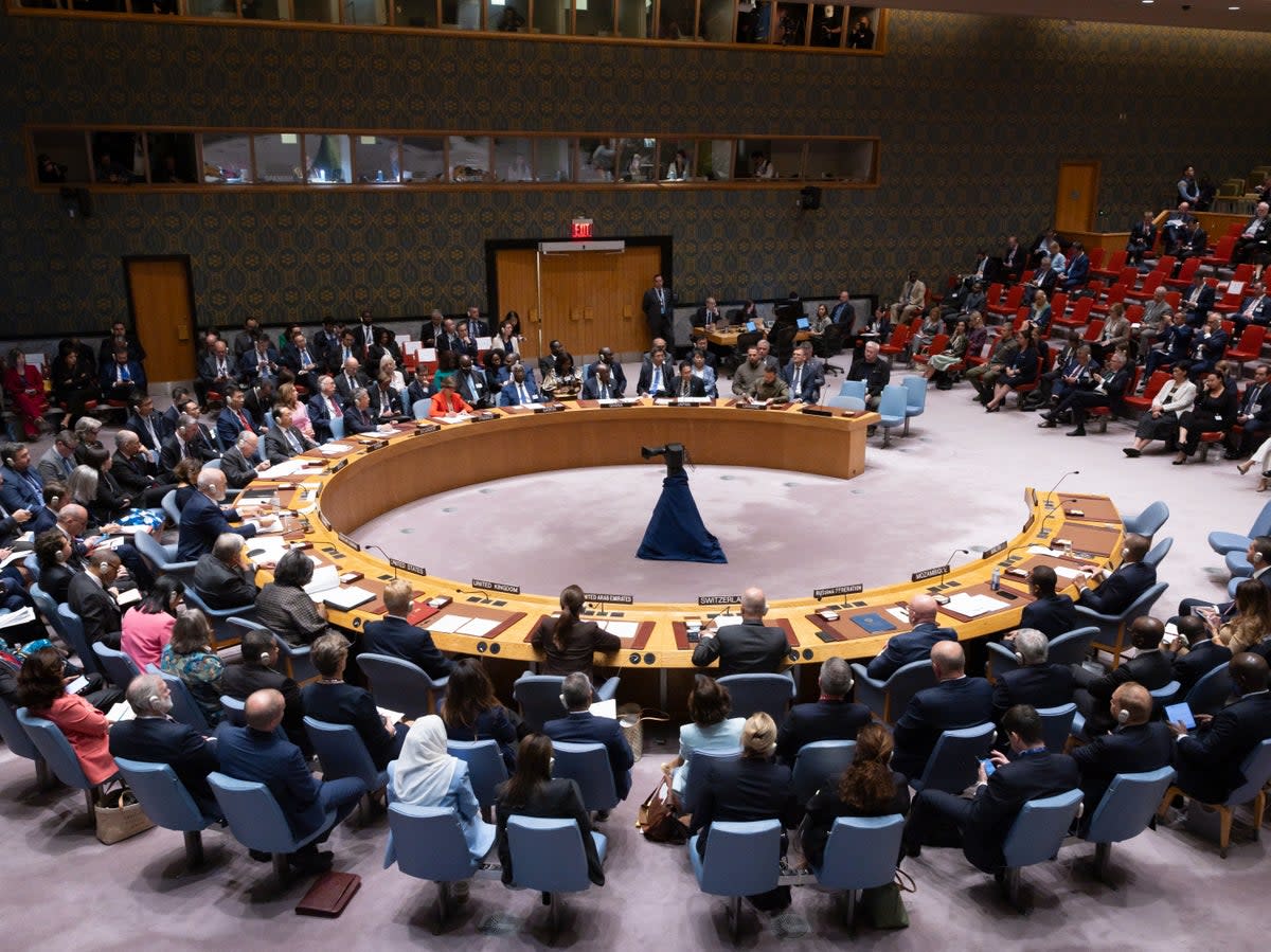 The UN Security Council convening at its headquarters in New York (EPA)