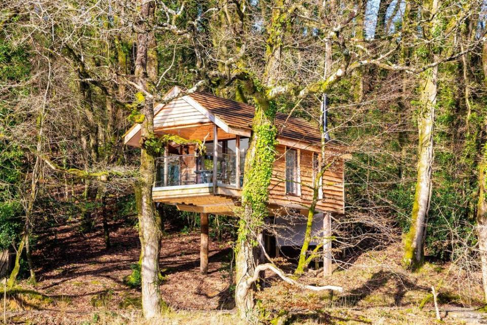 <p><strong>Sleeps:</strong> 2</p><p>This incredible off-grid retreat sits in a secluded setting among the tree-tops, above a lake, as the perfect hideaway for a weekend escape. A stay at the Yeworthy Eco-Treehouse offers complete private access to the treehouse, lake and summer house, complete with a cosy log burner. It's the perfect place to enjoy a tranquil dinner and glass of wine. Dogs are also welcome at the treehouse for a pet-friendly treehouse escape. </p><p><a class="link " href="https://www.booking.com/hotel/gb/the-tree-house-eco-friendly-back-to-nature-experience.en-gb.html?aid=2200769&label=hb-treehouse-holidays" rel="nofollow noopener" target="_blank" data-ylk="slk:CHECK AVAILABILITY;elm:context_link;itc:0;sec:content-canvas">CHECK AVAILABILITY</a></p>
