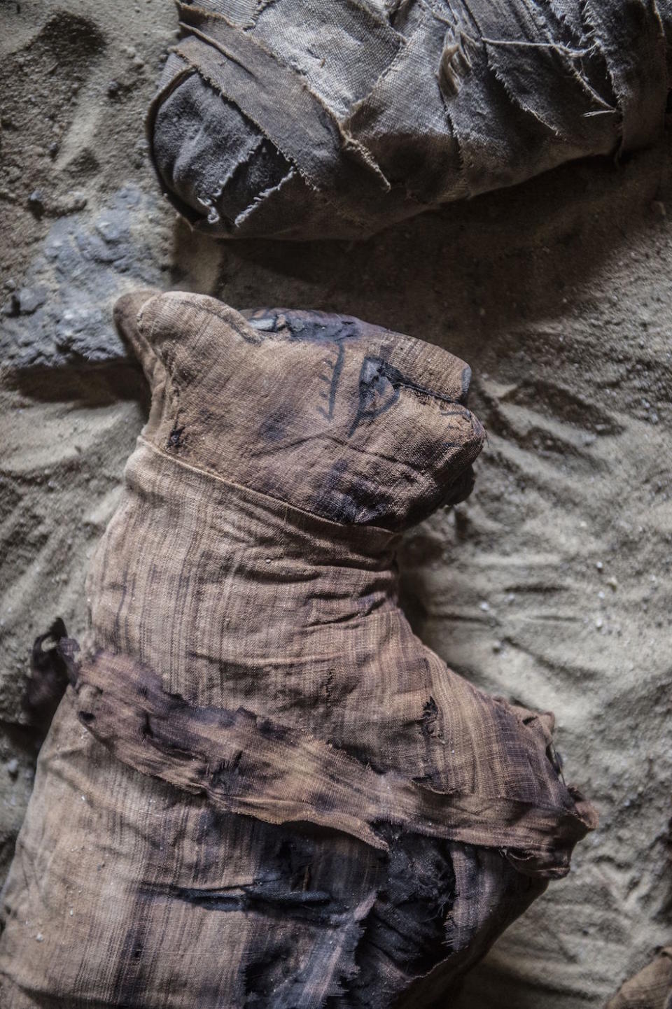 Mummified cats are seen during the demonstration of a new discovery made by an Egyptian archaeological mission through excavation work at an area located on the stony edge of King Userkaf pyramid complex in Saqqara Necropolis (Picture: AFP/Getty)