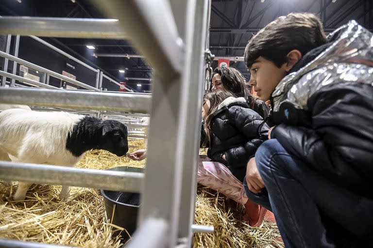 María, Juan Francisco y Emma jugaron con algunos de los animales que se exhiben en La Rural