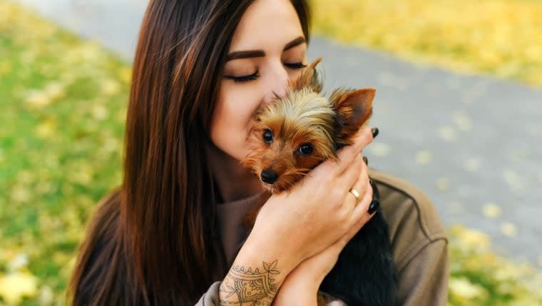 14-Year-Old Yorkie Stolen by Burglar Found, Reunited With Family