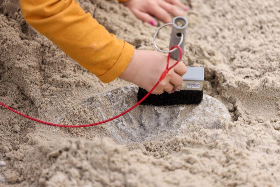 A person brushing away a fossilized dinosaur bone in the dirt.