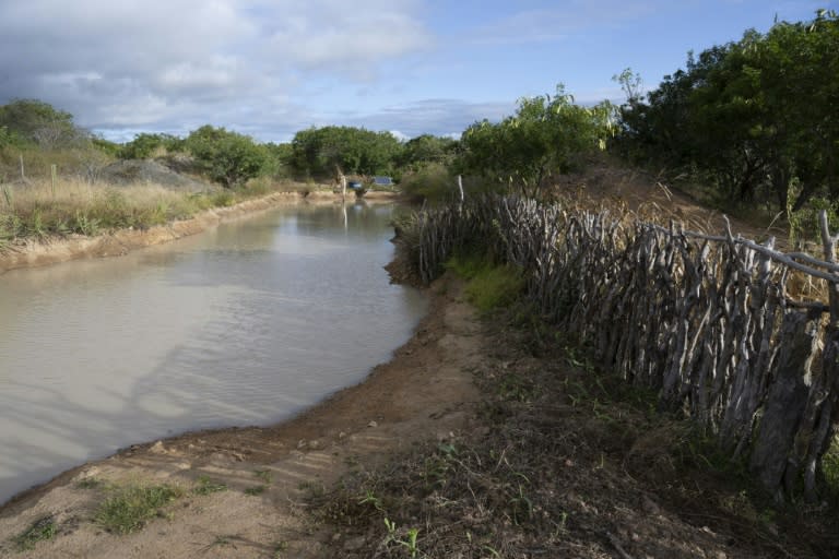 Un réservoir d'eau dans une zone de La Caatinga, État de Bahia, Brésil, le 12 juin 2024 (Pablo PORCIUNCULA)