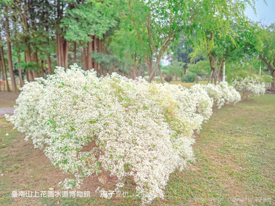 台南山上花園水道博物館