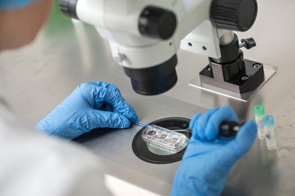 Scientist in blue gloves does control check of the IVF process using a microscope.