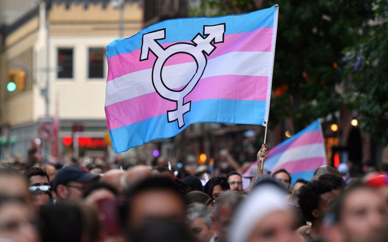 Transgender flag - ANGELA WEISS /AFP