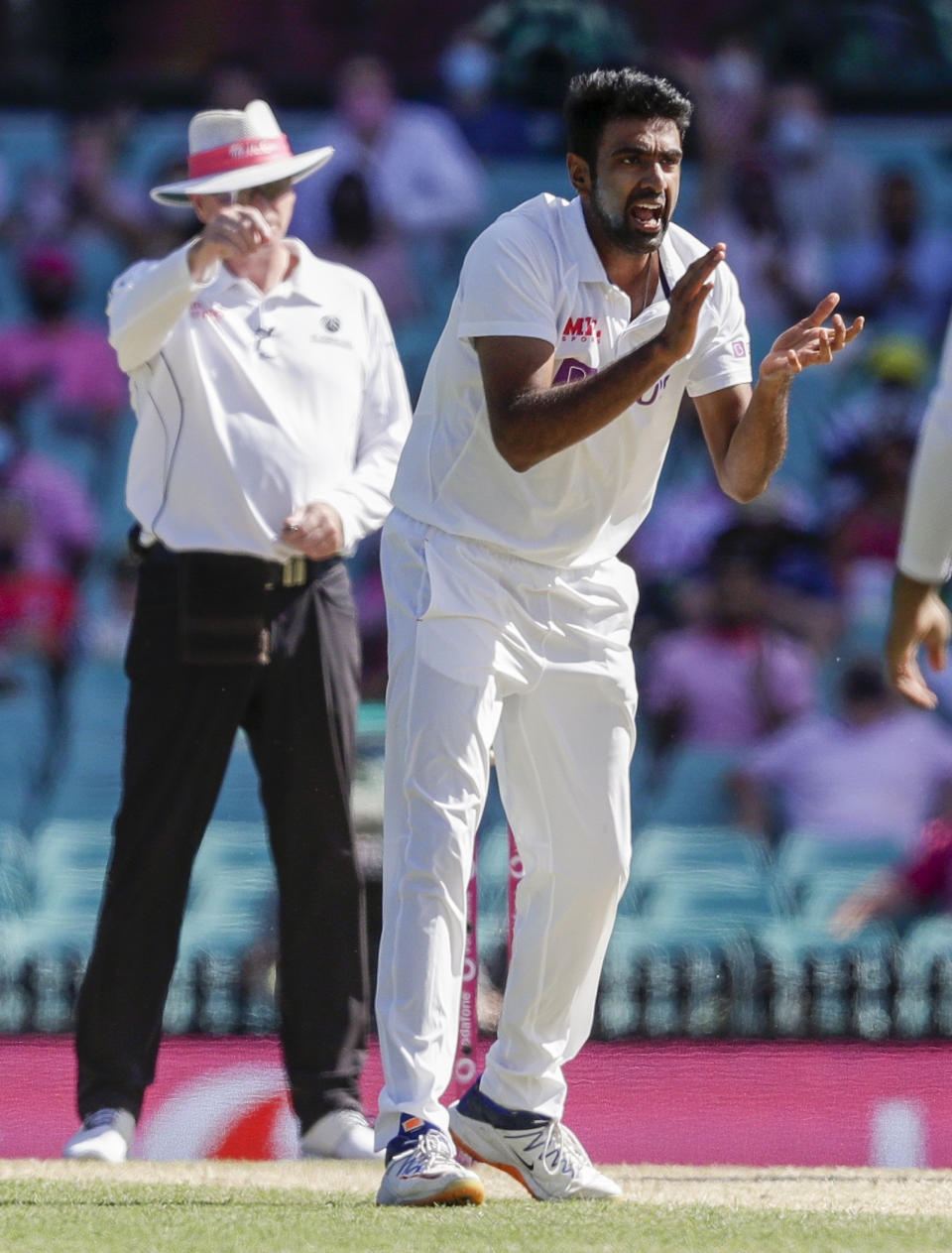 India's Ravichandran Ashwin celebrates as umpire Paul Reiffel, left, signals the dismissal of Australia's David Warner during play on day three of the third cricket test between India and Australia at the Sydney Cricket Ground, Sydney, Australia, Saturday, Jan. 9, 2021. (AP Photo/Rick Rycroft)