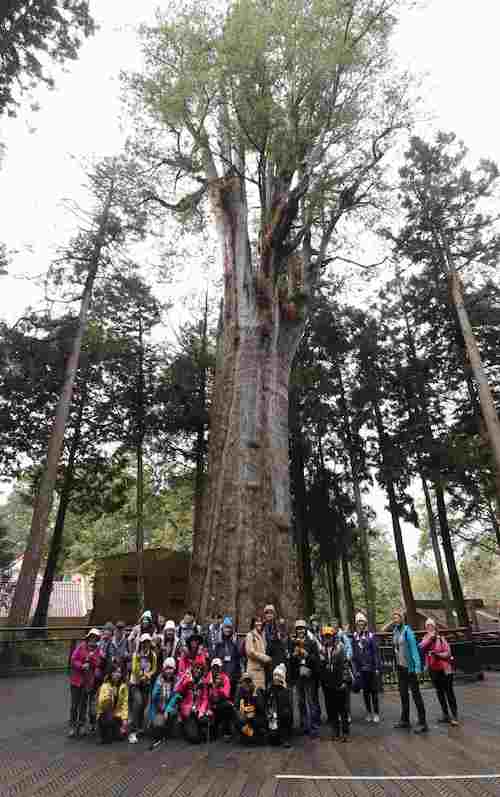 ▲白天由阿里山在地導覽解說員帶著學員於阿里山國家森林遊樂區內瞭解豐富的阿里山生態。（圖/林保署提供）