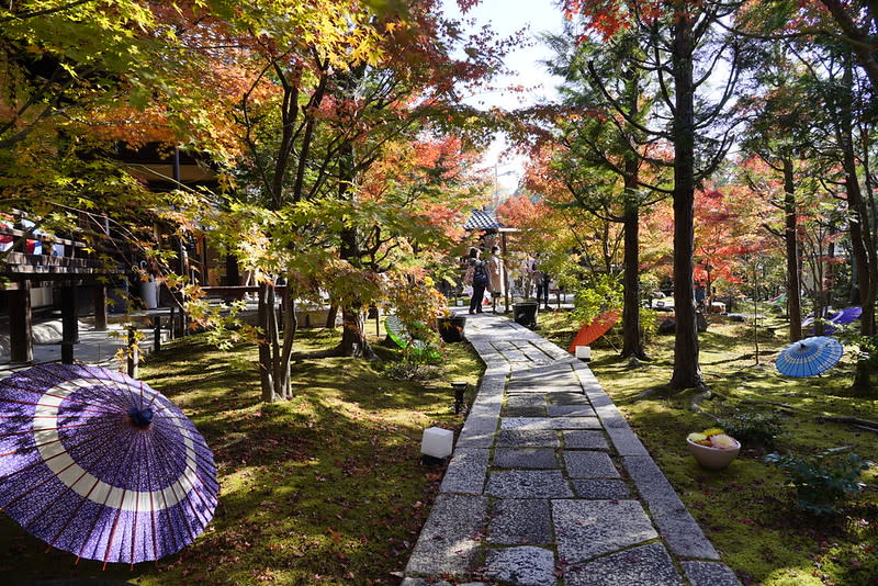 日本京都｜勝林寺