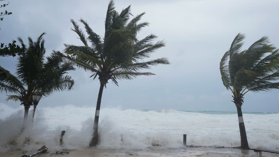 Waves batter palm trees as Hurricane Beryl impacts Hastings, Barbados, Monday. - Ricardo Mazalan/AP