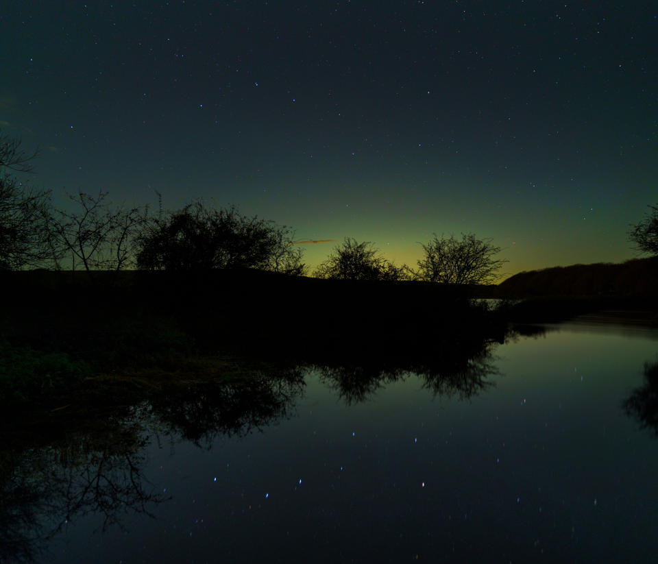 Steve Geliot’s There Was A Bear On Litlington Road was also highly commended (Steve Geliot/SDNPA/PA)