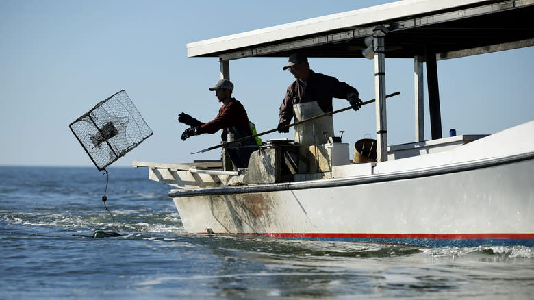 Men crabbing in Chesapeake Bay
