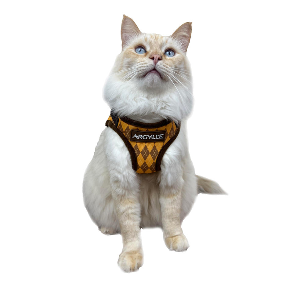 'Argylle' x Travel Cat Harness and Leash Set in Yellow