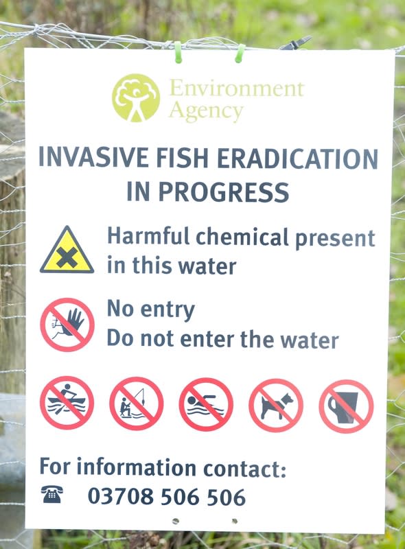 Environment Agency poison Hampshire lakes to kill invasive fish