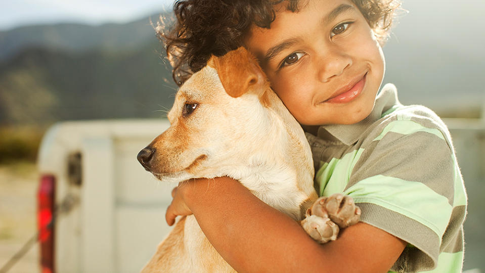 Dos hermanos crean un plan de 11 pasas para conseguir un perro. Foto: LM Photo / Getty images.