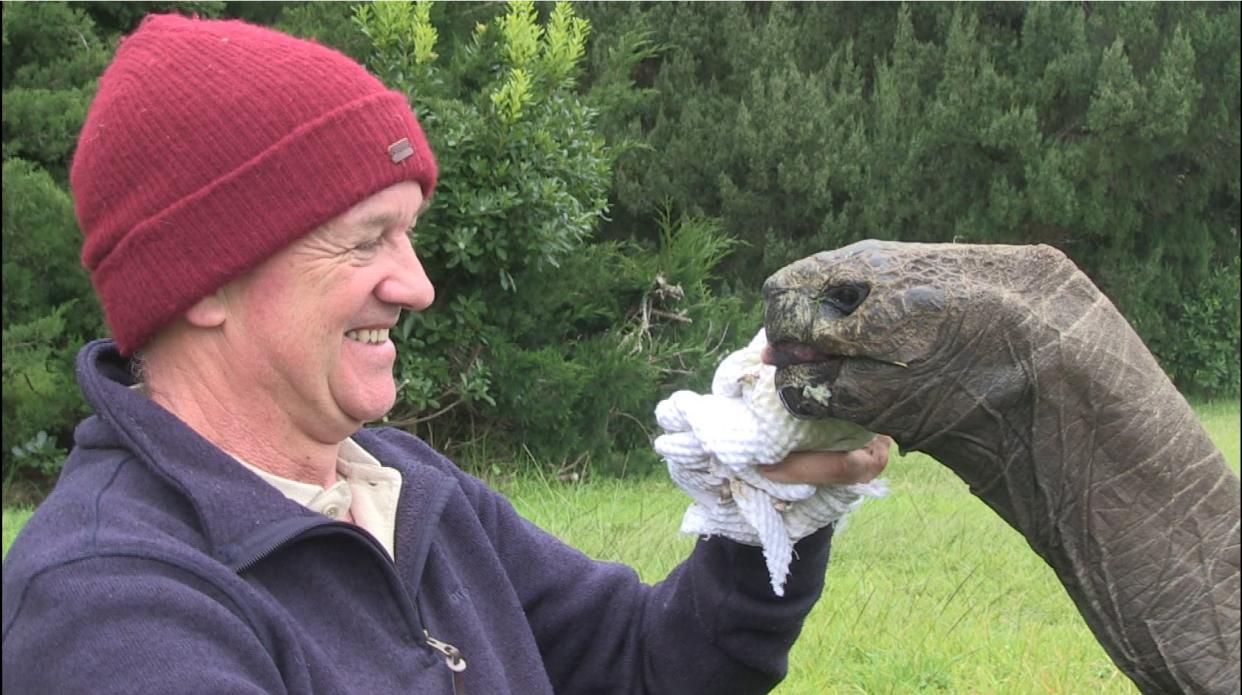 Vet Joe Hollins  with Jonathan the Tortoise.