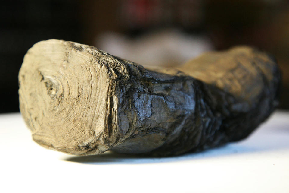 Scorched Scroll Mount Vesuvius (University of Kentucky / AFP - Getty Images)