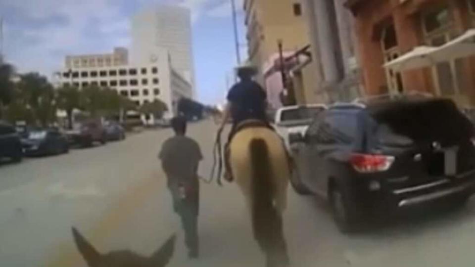 Donald Neely (left) is suing the Galveston Police Department for $1 million after its officers, on horseback, led him down the street via rope after an arrest. (Galveston Police Dept.)