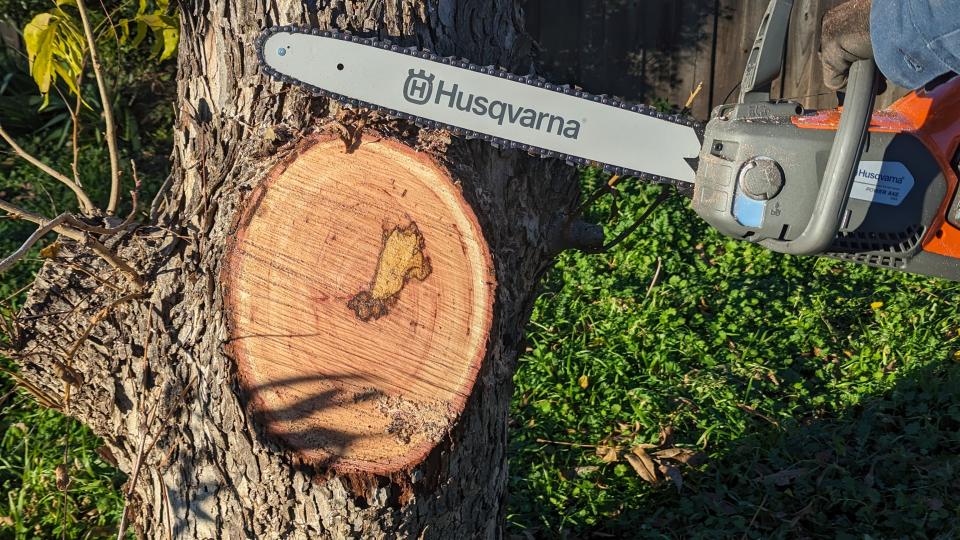 The Husqvarna Power Axe 350i Cordless Electric Chainsaw being tested on a thick tree limb