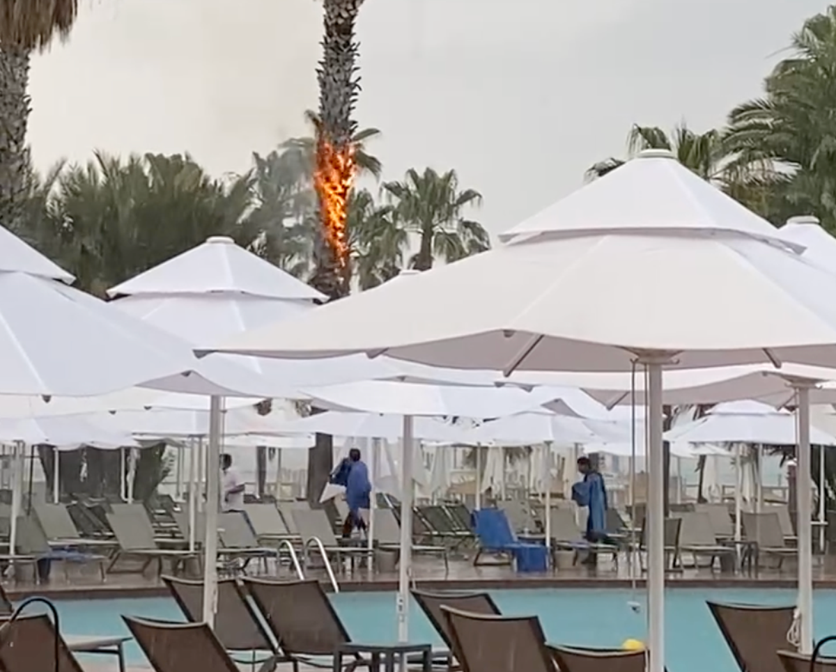 Poolside blaze: tree catches fire after being struck by lightning (Paul Martin)