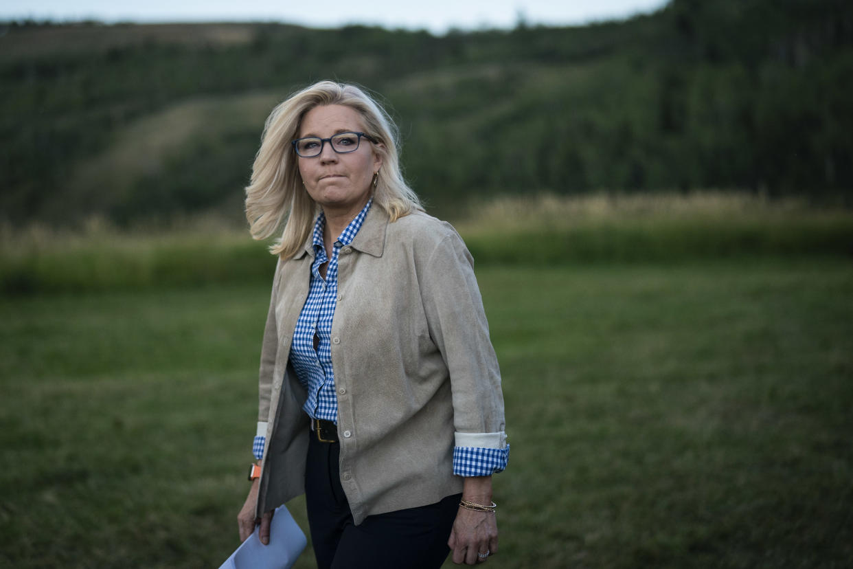 Liz Cheney stands before a grassy field and distant hill.