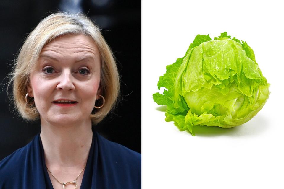 Liz Truss;