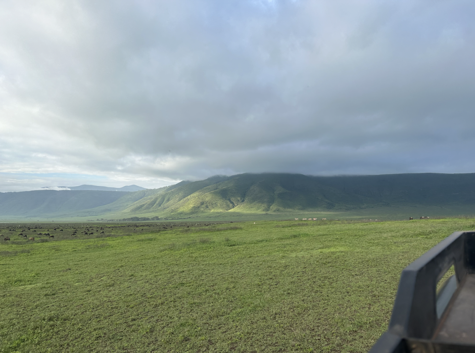 various photos from the ngorongoro crater