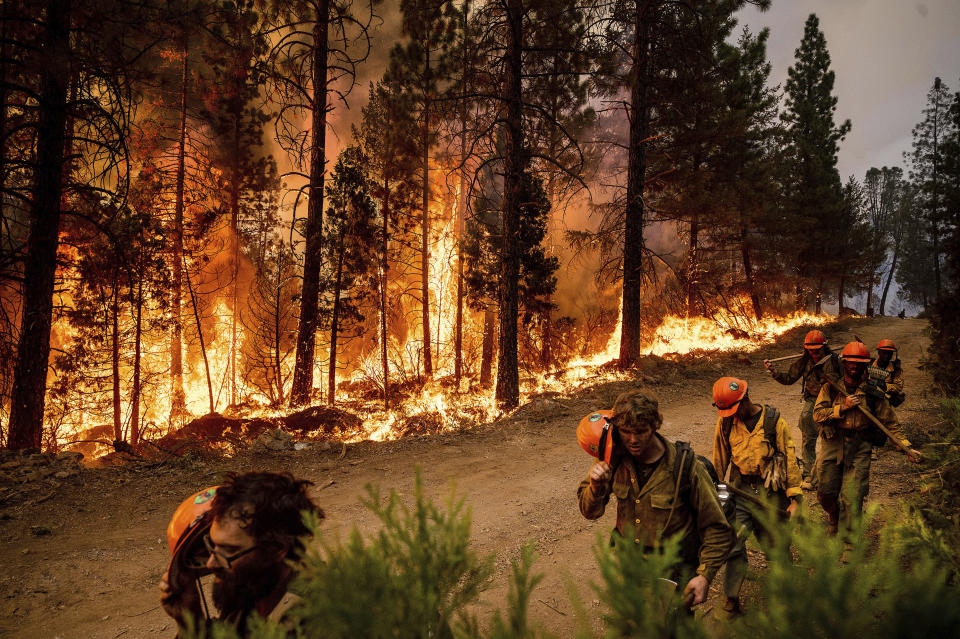 Firefighters use their helmets to shield themselves from backfire, flames lit by firefighters to burn off vegetation, while battling the Mosquito Fire in the Volcanoville community of El Dorado County, Calif., on Friday, Sept. 9, 2022. (AP Photo/Noah Berger)