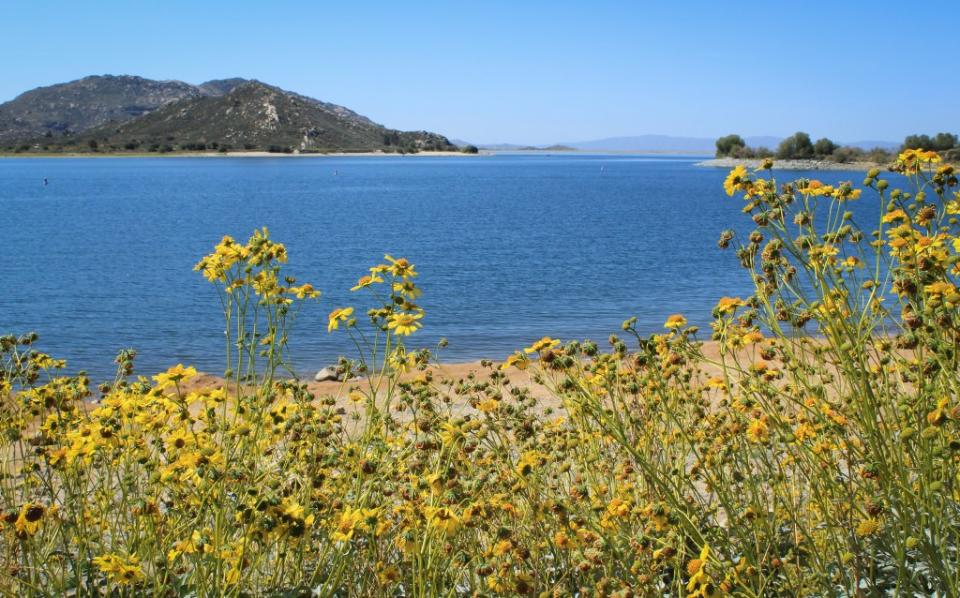 Wildflowers bloom and trees fill with leaves in springtime at Lake Perris State Recreation Area in Riverside via Getty Images