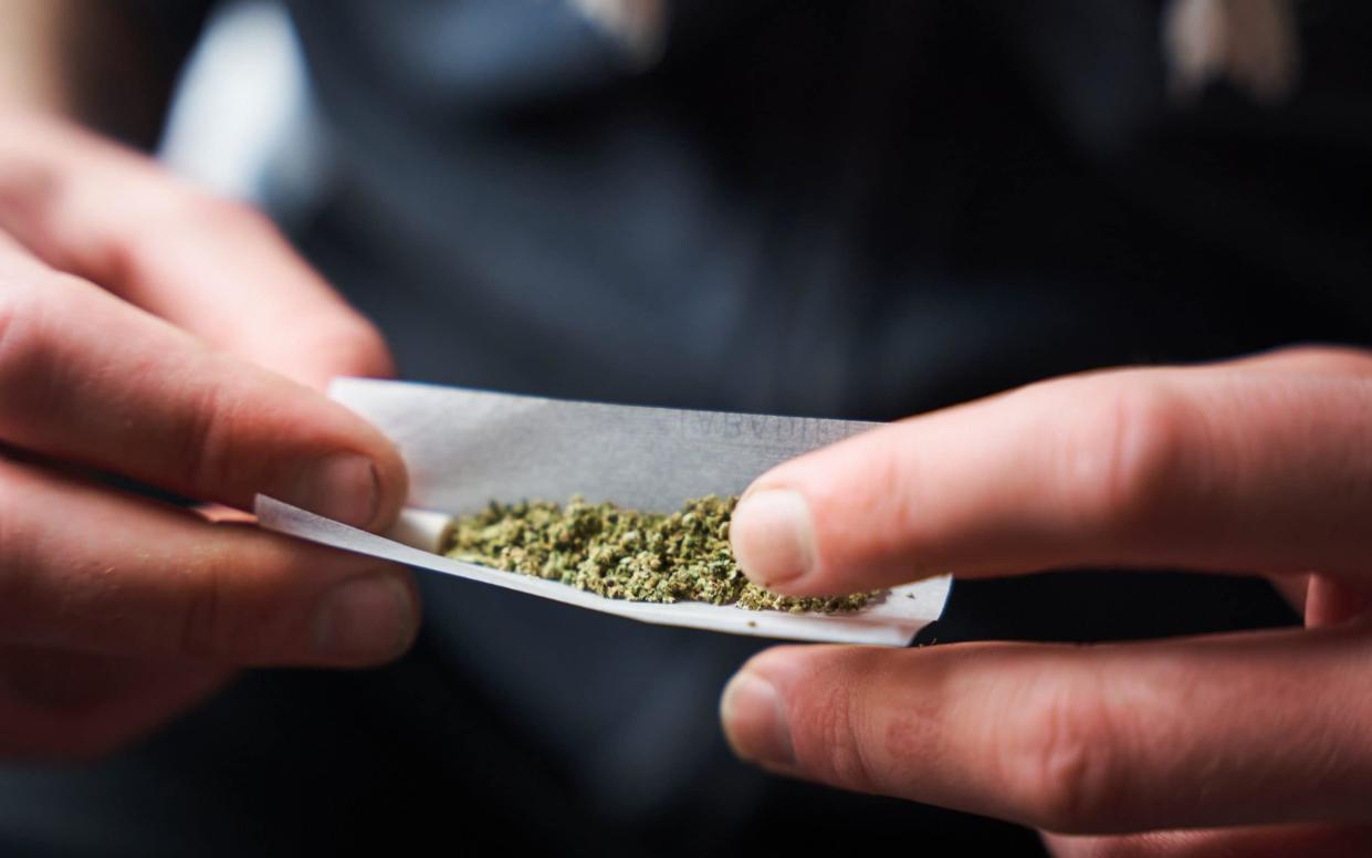 Close-up of person rolling a marijuana joint