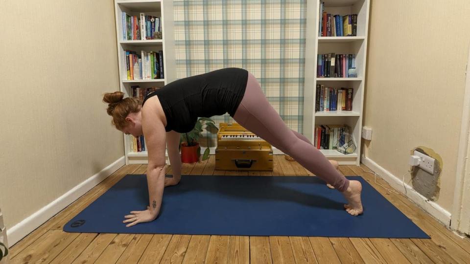 Downward facing dog with rounded back