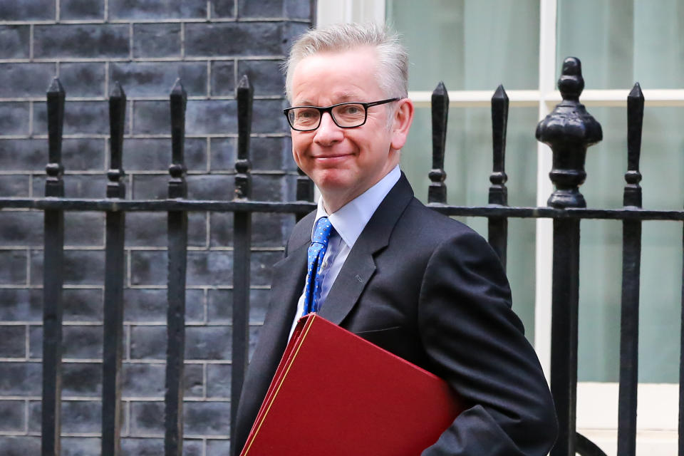 Michael Gove – one of the more recognisable current crop of Tory politicians.