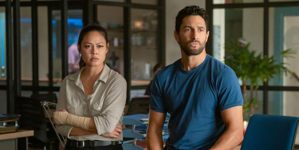 vanessa lachey, noah mills, ncis hawai'i, season 2