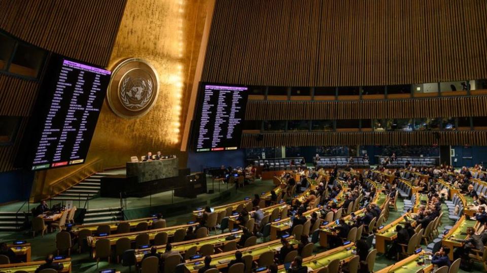 La Asamblea General de la ONU