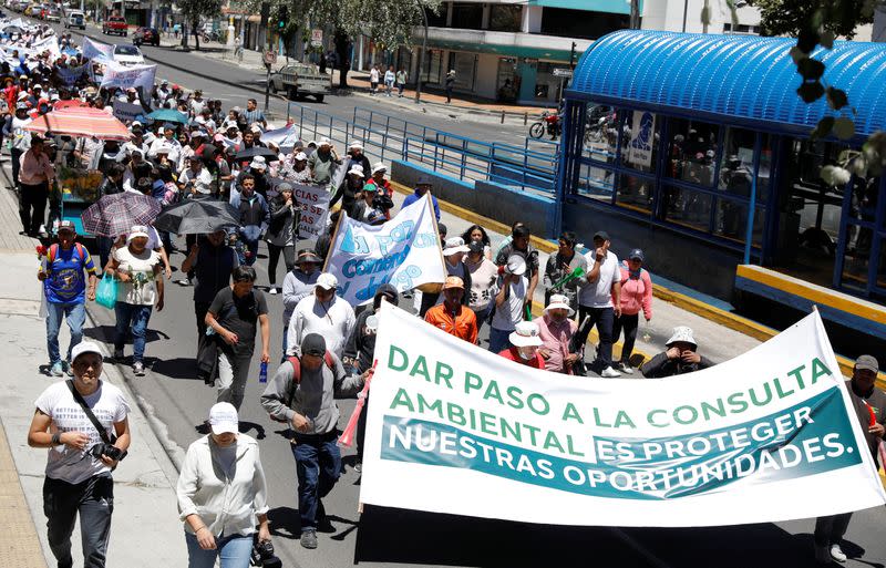 Demonstration in favour of community consultations for major economic projects, in Quito