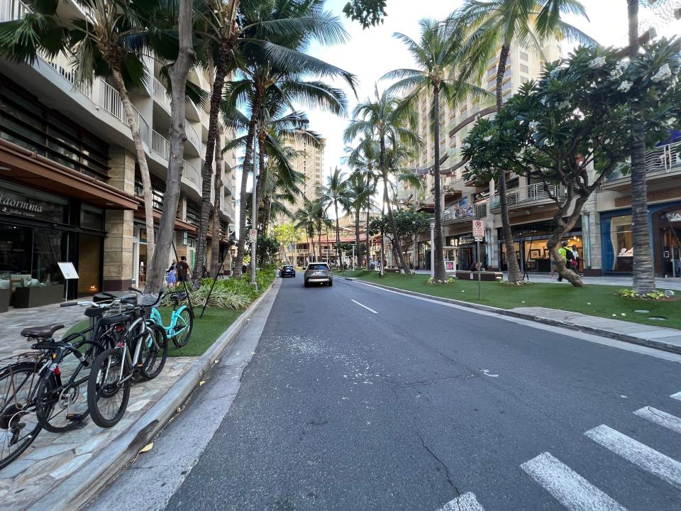 A street lined with shops and tropical palm trees.
