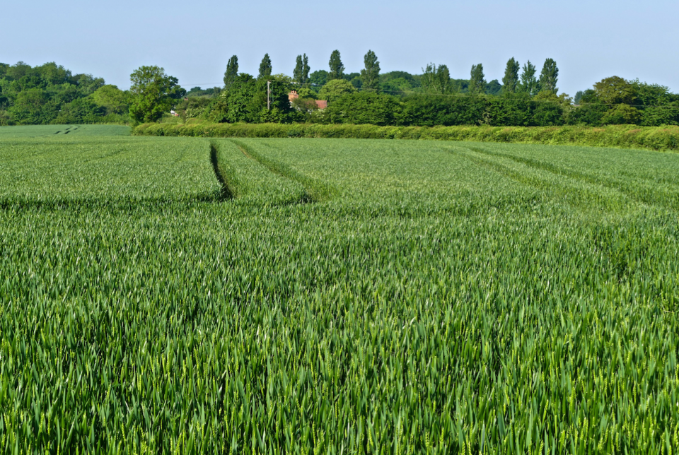 Oxfordshire