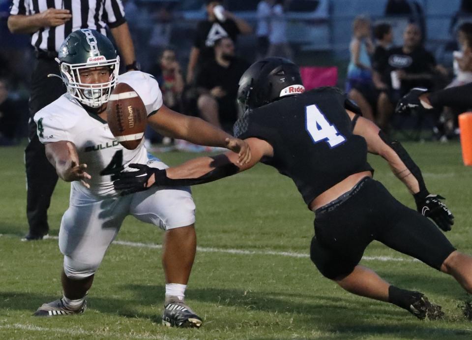 Matanzas' Cole Hash (4) racked up 110 tackles to top the area leaderboard.