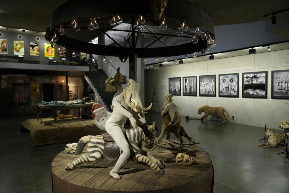 "Carousel", an installation by artist and photographer Roger Ballen is displayed at Inside Out Centre for the Arts in Johannesburg, South Africa, Wednesday, May 31, 2023. From the killing of elephants in the 18th century that began the ivory trade to the decimation of the rhino population from animal hunting, Ballen argues through his provocative art installations and multimedia artworks that humans remain at the forefront of the destruction of African wildlife. (AP Photo/Themba Hadebe)