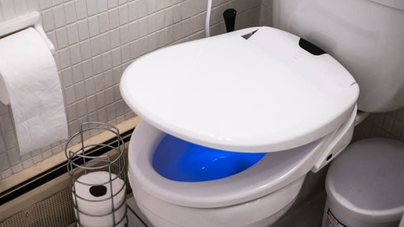 This bidet won't just improve your life--it'll also be a fun surprise for future house guests!